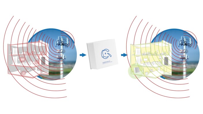 Vitalfeldtransformer